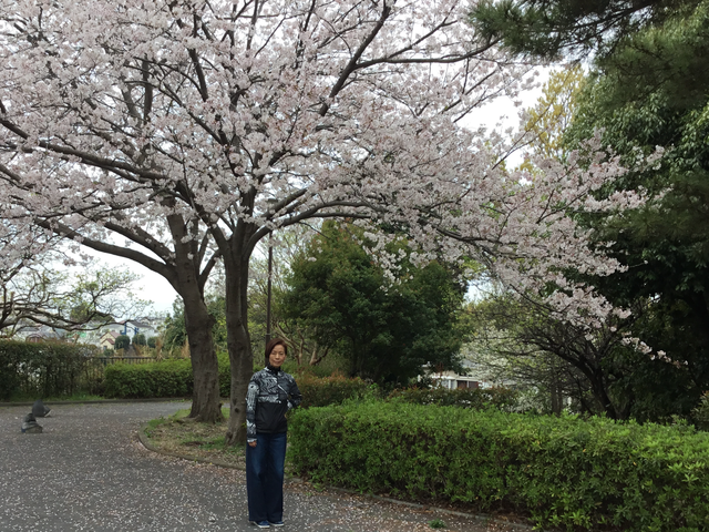 4C79BEEE-B2AB-4D07-A4DB-609B0079D23C.png